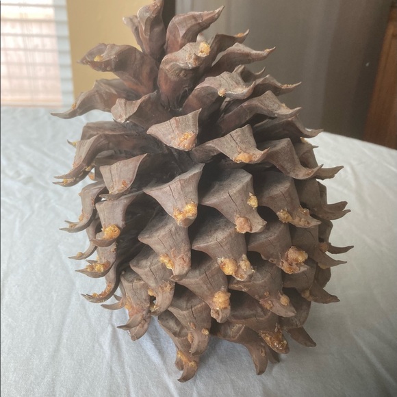2 huge 8” & 7 1/2” Tall Rare Vintage California pine cones - Picture 3 of 7